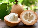 7 Amazing Health Benefits Of Cotton Fruit