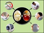 Eat Garlic & Honey For 7 Days; The Results Will Shock You!
