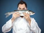 How Much Fish Is Too Much?