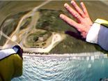 People Who Jumped Without A Parachute & Survived!