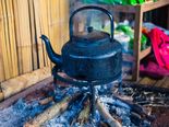 Is There A Tea That Prolongs Life Span?