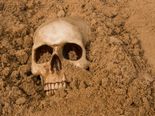 Unexpected Things That People Discovered In Their Backyards!
