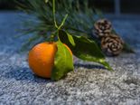 Top 10 Fruits/Vegetables To Be Consumed In Winter & Why You Should Eat Them 