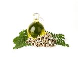 Moringa Seeds; A Must Have Superfood To Treat These Health Disorders