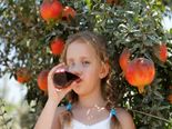 Top Health Benefits Of Pomegranate Juice That You Need To Know 