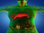 Top Diet Tips That Help With Liver Cleansing