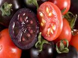 List Of Genetically Mutated Products
