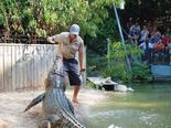 Shocking Videos Of Animals Attacking Humans!