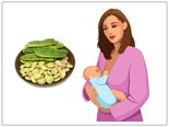 Can You Eat Beans While Breastfeeding?