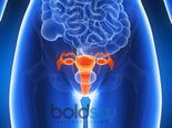 7 Surprising Facts About Your Ovaries You Never Knew!