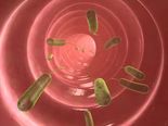 Here Are Ways In Which You Might Get A Parasitic Infection