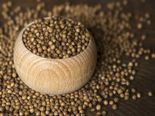 Amazing Health Benefits Of Coriander Seeds 