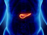 Best 10 Foods For The Pancreas That You Must Eat Every Day