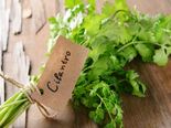 Try This Amazing Cure For Kidney, Pancreas And Liver-related Diseases