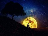 Amazing Ways In Which Nature Can Heal You 
