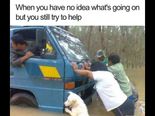 Funny Animal Memes That Will Brighten Up Your Day!