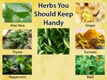 15 Healing Herbs That You Should Keep Handy