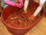 Health Benefits Of Kimchi