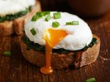 Shocking Facts About Eggs That You Need To Know  