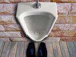 Does Your Urine Smell Like Ammonia? Here Are The Reasons!