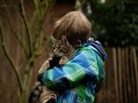 Every Cat Lover Is Going To Love These Facts On Their Favourite Pet!