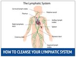 How To Cleanse A Clogged Lymphatic System