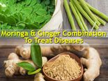 Combination Of Moringa & Ginger To Fight Several Deadly Diseases 