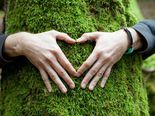 What Is Green Therapy