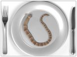 Is Deworming Necessary?