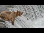 National Geographic Pics That Will Make Your Eyes Pop Out For Sure!