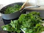 Why Foods Rich In Chlorophyll Are Healthy