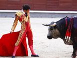 Bizarre Myths About Animals That Can Confuse You