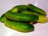 Health Benefits Of Gherkin