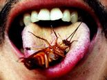  WTF!!  The Next Big Superfood Is COCKROACH MILK! 