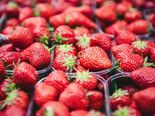 20 Best Foods To Eat With Low Carbs