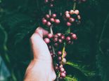 10 Homemade Cranberry Face Masks For Winter Skin Care