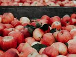 10 Budget Diet Plans For Weight Loss 