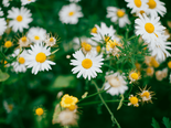 11 Home Remedies For Itching In Private Parts