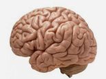 10 Simple Ways To Increase Your Intelligence