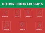 What Does The Shape Of Your Ear Reveal About Your Personality