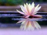 Mental Health: 3 Keys To Emotional Hygiene