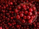 International Women's Day: 10 Foods That Prevent UTI