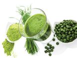 10 Plant-based Protein Foods For Weight Loss