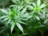 Can Cannabidiol Help With Migraines?