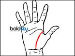 Things That You Need To Learn About With Regard To Life Line In Palmistry