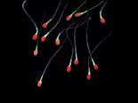 What Colour Is Healthy Semen And What Other Colours Could Mean?