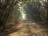 The Story Of Lubdhaka And Lord Shiva