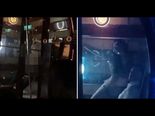 Video Of A Couple Making Love In A Ferris Wheel Is Going Viral