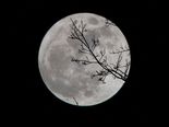 Lunar Eclipse 2020: Date, Time And Sutak Kaal For The First Eclipse Of 2020