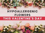  Valentine’s Day  2023: 12 Beautiful Hypoallergenic Flowers For Your Partner This V-Day